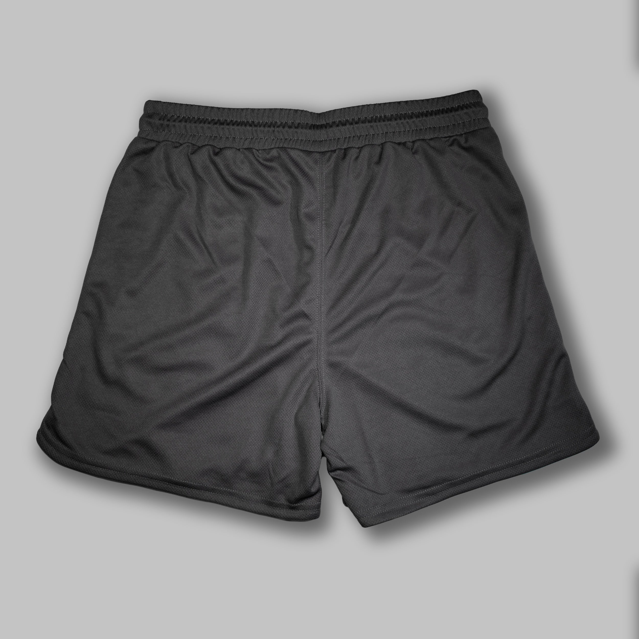 UGLY FIT Mesh Shorts